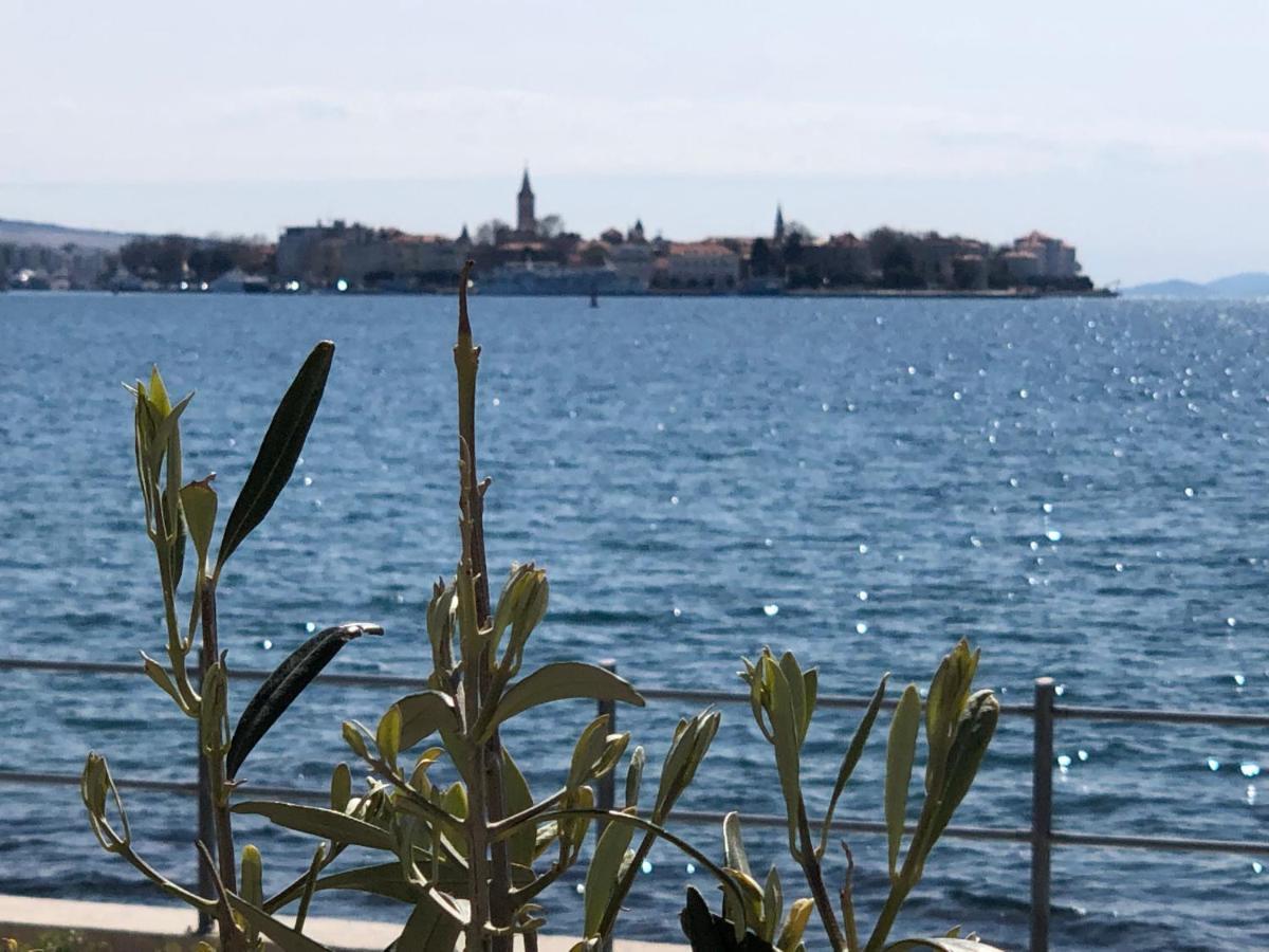 Apartment Punta Zadar